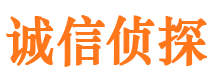 布拖寻人公司